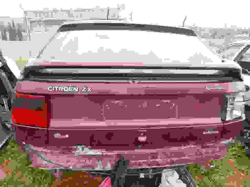 Γρύλοι – πάνελ πορτών Citroen ZX ’96
