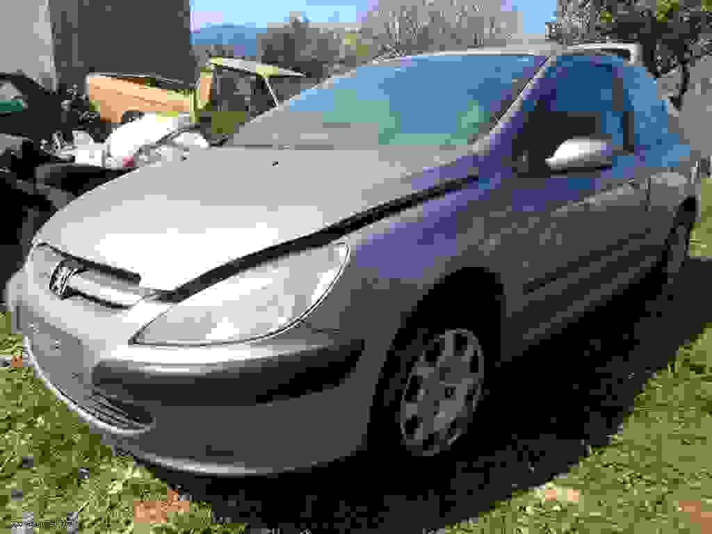 Ημιαξόνια – Μπιλιοφόροι Peugeot 307 ’04