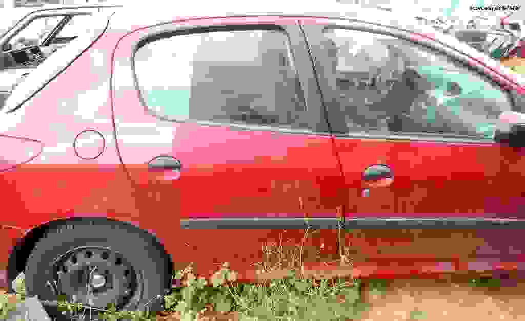 Γρύλοι – Πάνελ Πορτών Peugeot 206 ’05