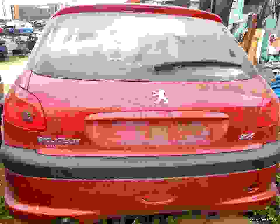 Χταπόδι Πολλαπλής Εξαγωγής Peugeot 206 ’05