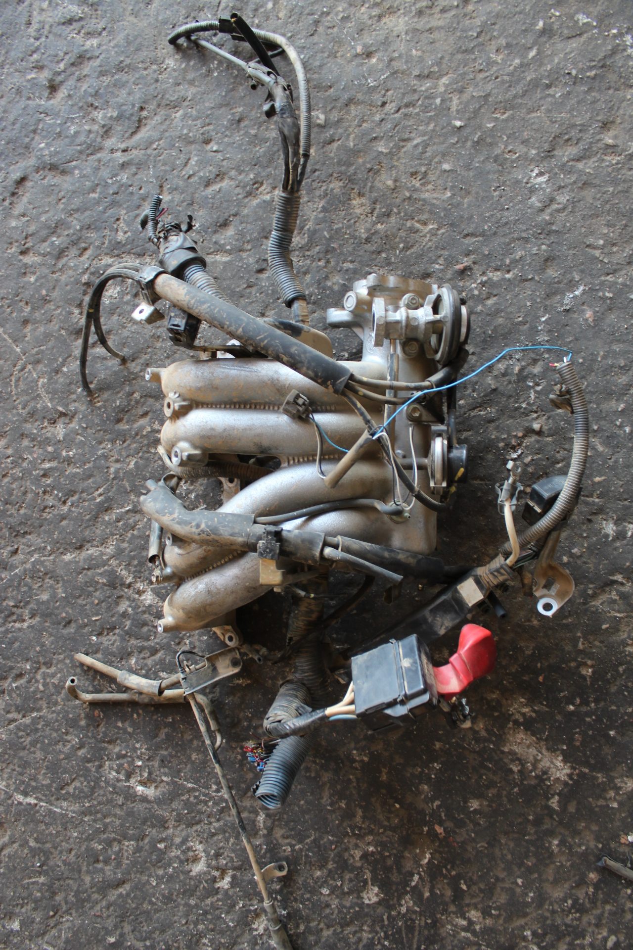 Πολλαπλή Εισαγωγής Toyota RAV 4 ’00 Προσφορά.