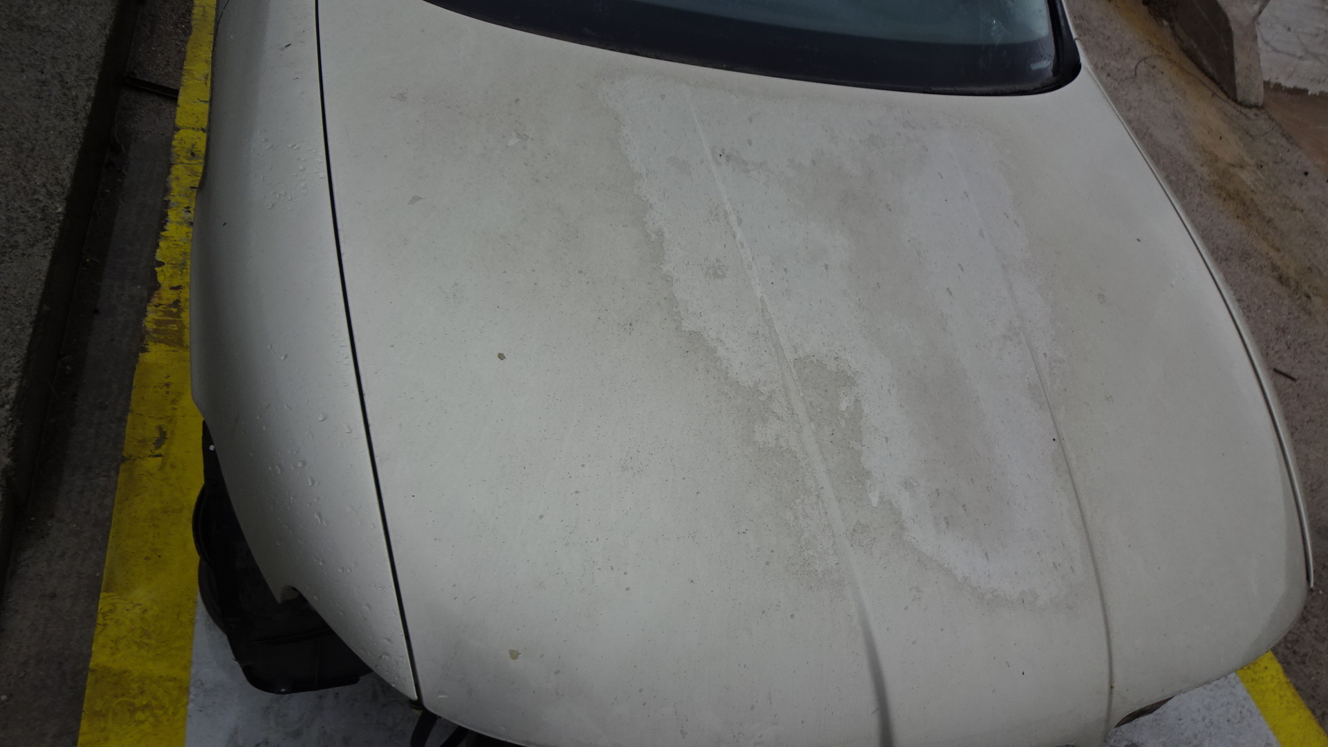 Καπό Seat Toledo ’04