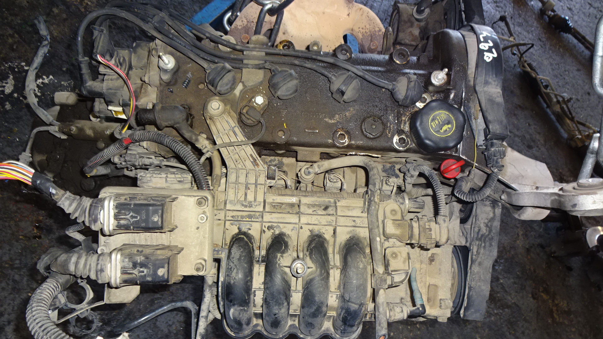 Χταπόδι Πολλαπλής Εξαγωγής Fiat Bravo ’01 Προσφορά.