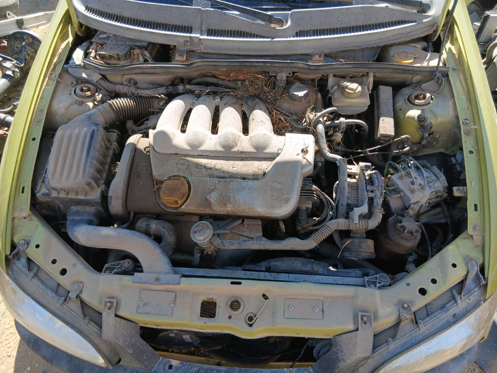 Δυναμό Opel Tigra ’99